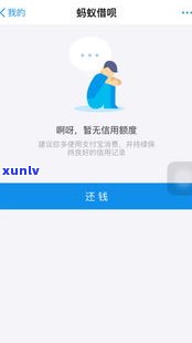 借呗支持延期还款吗？如何申请及操作