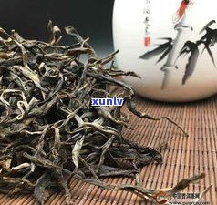 哪些茶是熟普洱茶-哪些茶是熟普洱茶做的