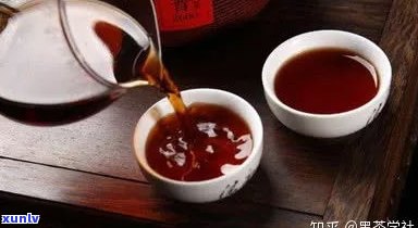 普洱茶熟茶的区别功效：揭示其独特的作用与特点