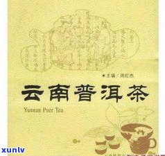 普洱茶书：热销排名与作者解析