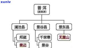 普洱茶生茶三大知识点：从基础到进阶全面解析