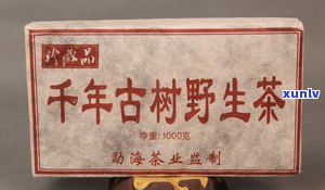 普洱茶生茶三大知识点：从基础到进阶全面解析