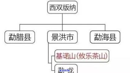 普洱茶生茶三大知识点：从基础到进阶全面解析