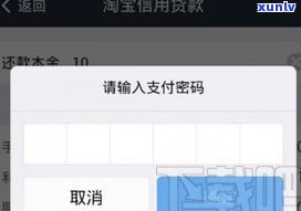 借呗还款可以分期吗？现在怎样操作？作用采用吗？