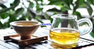 糟老头普洱茶熟茶-糟老头茶叶普洱茶