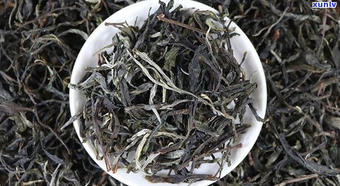 易武春天普洱茶特点：2021年春茶价格与新品介绍