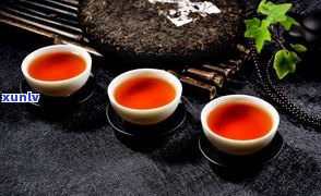 春茶普洱茶易武茶-易武春芽普洱茶