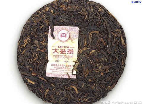 大益普洱茶：选择更好的茶叶