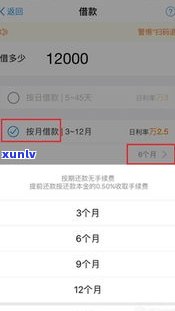 借呗无法分期还款？怎么办？