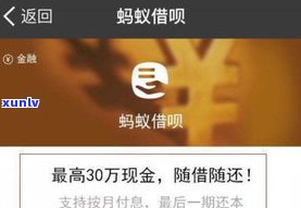 借呗无法分期还款吗-借呗无法分期还款吗怎么办