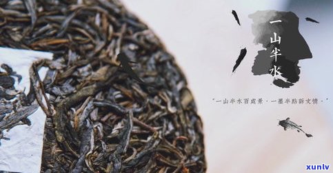 黑茶口感像普洱茶一样：正常吗？是什么味道？