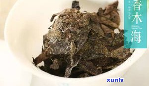 黑茶口感像普洱茶-黑茶口感像普洱茶吗