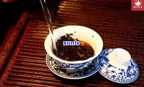 熟普洱茶不用洗茶可以吗？如何正确冲泡？