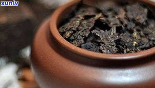 普洱茶老茶有哪些种类？了解其特点、功效与作用