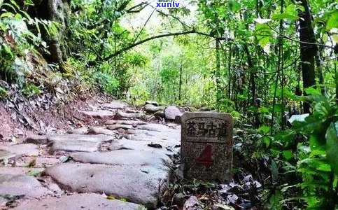 普洱茶马古道历史文化：探索千年商路的故事与背景