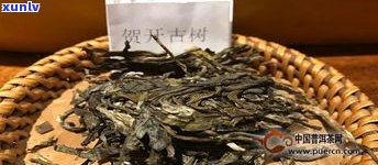 倚邦茶区普洱茶特点：生茶价格与易武的关系解析