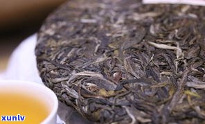 大树茶散熟普洱茶能喝吗？功效与作用大揭秘