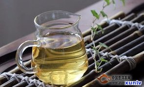 普洱茶的大树茶是什么？特点与分类解析