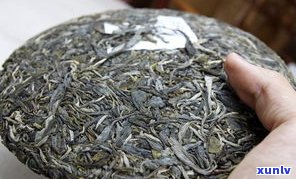 普洱茶生茶的样子-普洱茶生茶的样子图片