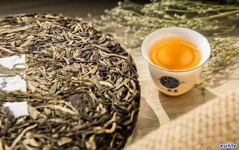 普洱茶生茶的样子-普洱茶生茶的样子图片