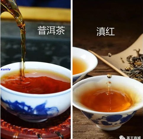 滇红普洱茶与黑茶-滇红普洱茶与黑茶的区别