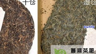 普洱茶干茶的样子-普洱茶干茶的样子图片