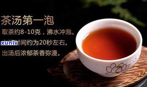 普洱老茶：出名的品牌、产地与茶叶介绍