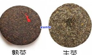 详解普洱茶熟茶工艺流程：从原料到成品的全过程