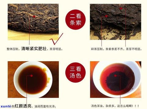 详解普洱茶熟茶工艺流程：从原料到成品的全过程