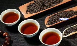 泡普洱茶放多少茶-泡普洱茶放多少茶叶