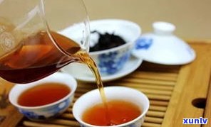 泡普洱茶放多少茶-泡普洱茶放多少茶叶