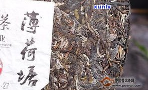 普洱山为何不产普洱茶？知乎上有答案吗？