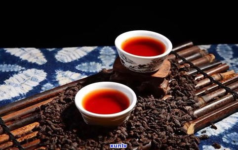 普洱山为何不产普洱茶？知乎上有答案吗？