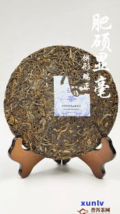 普洱市：普洱茶的发源地与唯一产地？