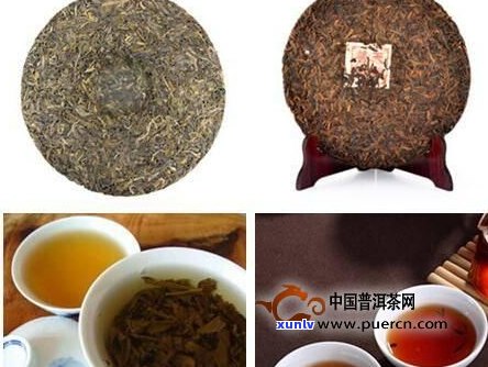 普洱根比普洱茶贵-普洱根比普洱茶贵多少