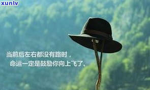 玉石语句：经典语录、唯美词句与短语全收录