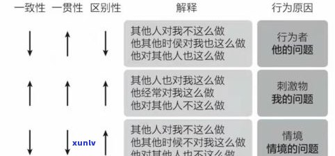 普洱茶购买渠道全解析：避开陷阱，掌握更佳选购途径