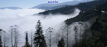 屏边大围山普洱茶-云南屏边大围山旅游攻略