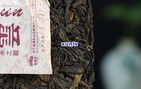 紫芽普洱茶和普通普洱茶有何不同？请解答，包括紫芽是否属于普洱茶、其功效与生熟之分。