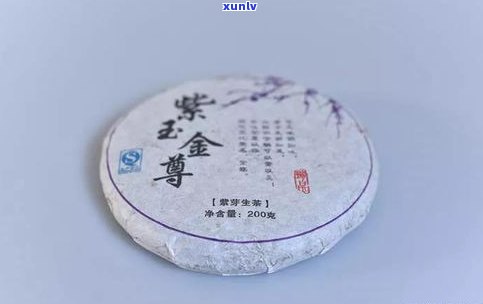 紫芽普洱茶和普洱-紫芽普洱茶和普洱茶有什么区别谢谢