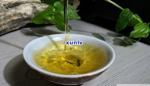 普洱茶属于什么类别的茶？探讨其种类与特点