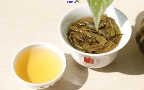 普洱茶产地疑问：为何称其为普洱？它真的是茶吗？