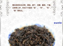 7581砖普洱茶-7581普洱茶砖什么意思