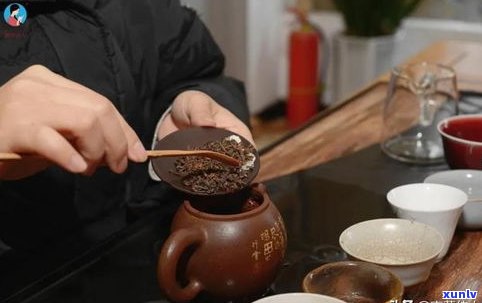 怎么买普洱茶熟茶散茶？掌握这几点，轻松买到好茶！