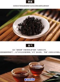 糯香普洱茶：是普洱茶吗？如何品尝，属于哪种茶类？