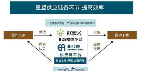 探寻普洱茶源头：供应链联盟与供应解析