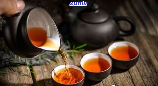 怀孕可以喝菊普茶吗？专家解析孕期饮茶留意事项