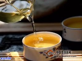 普洱茶1800万-普洱茶18亿