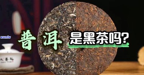 普洱茶来源于：产地、历史人物还是？深入了解普洱茶的来源