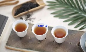 菊花普洱茶孕妇能喝吗？早期、女性都适合饮用，但需注意适量